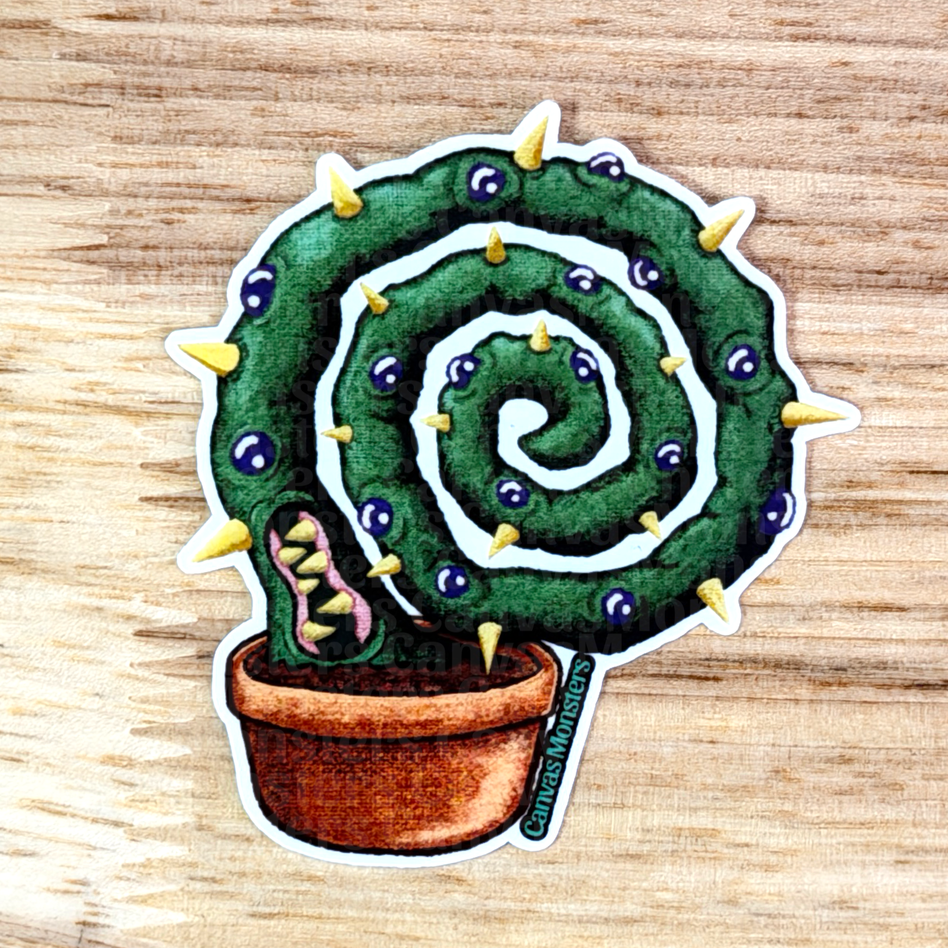 Sticker of a spiral cactus with thorns on a wooden surface